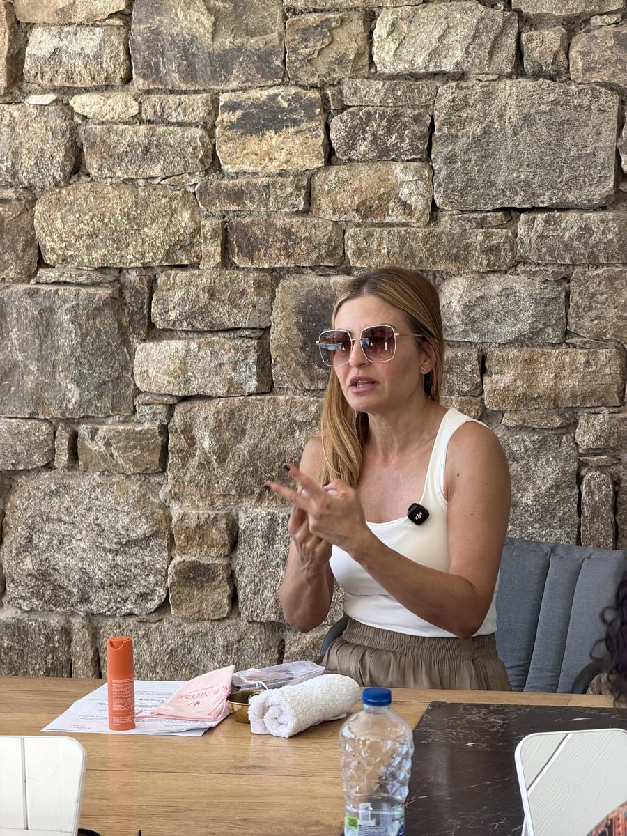 A founder sharing her plan with the room